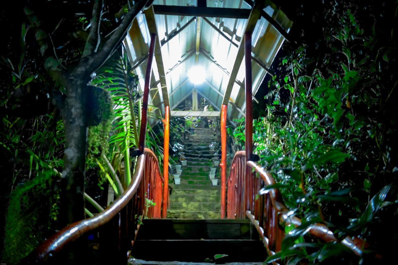 Will Guest Homestay Ella Exterior foto
